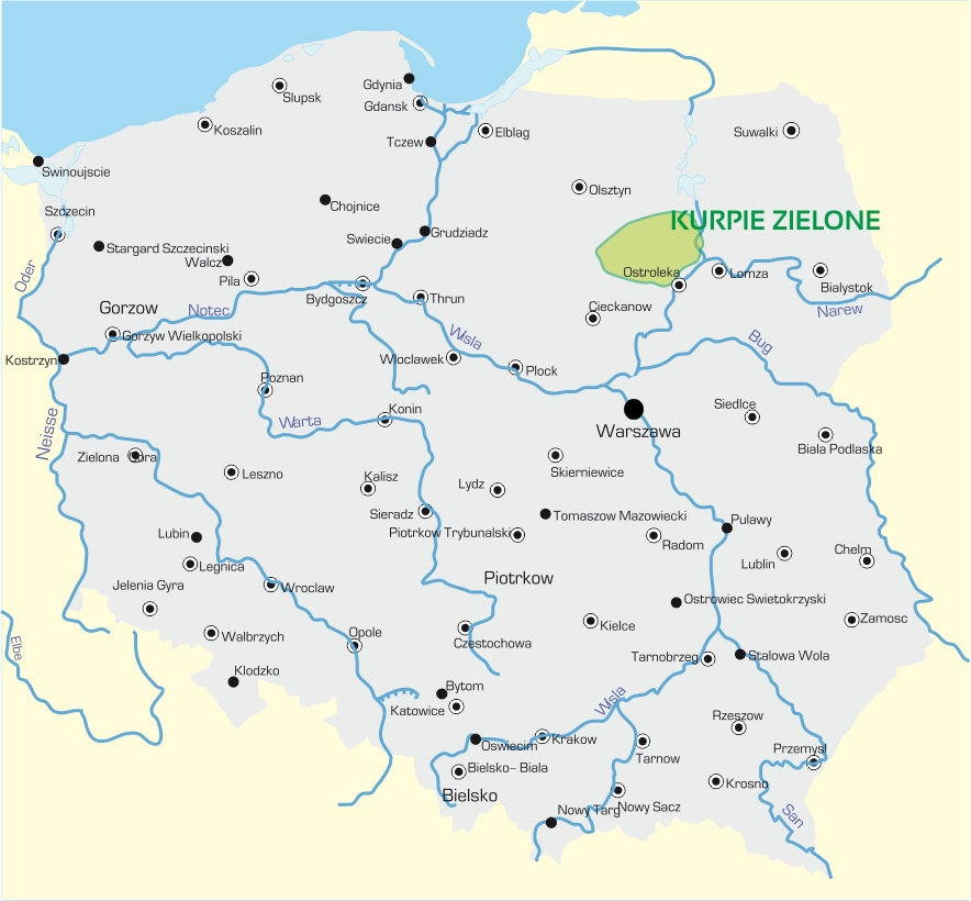 Kurpie Zielone na mapie Polski